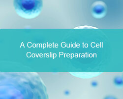 A Complete Guide to Cell Coverslip Preparation