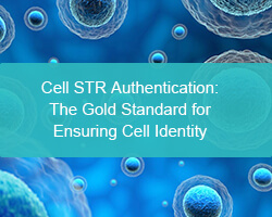Cell STR Authentication: The Gold Standard for Ensuring Cell Identity