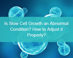 Is Slow Cell Growth an Abnormal Condition? How to Adjust it Properly?