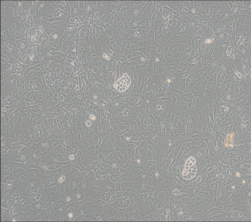 How to determine cell status-8