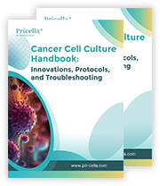 Cancer Cell Culture Handbook: Innovations, Protocols, and Troubleshooting
