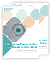 Cell Culture Fundamentals - A Comprehensive Guide