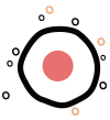Exosome Isolation Kit