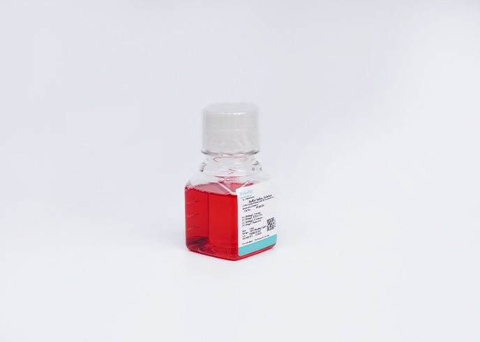 0.25% Trypsin Solution (with EDTA, phenol red, dissolved in D-Hank's)