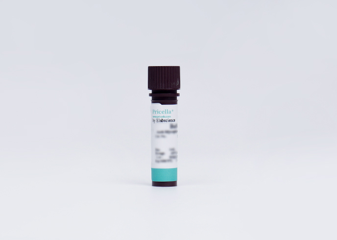 Anti-Mycoplasma Treatment Reagent (200×)